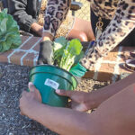 GARDEN - Margaret John